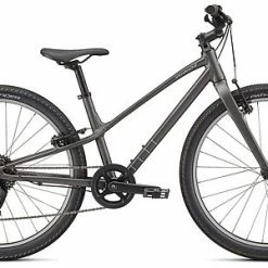 Specialized JETT 24" Multispeed Smoke Silver