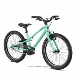 Specialized JETT 20" Singlespeed Gl.oasis F.green