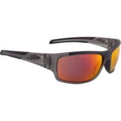 Alpina Radbrille Testido
