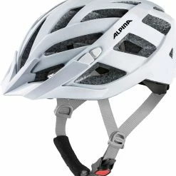 Alpina Panoma 2.0 L.E.