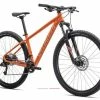 Specialized Rockhopper Sport 29 -Bekleidung Verkaufsladen 10003235 rockhopper papaja 2